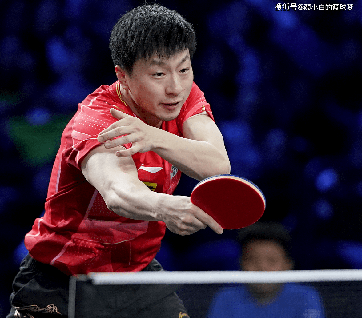 包含专家预测体操胜率超六成，结果成焦点的词条