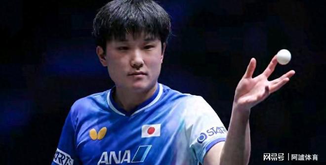 葡萄牙队绝杀法国队,张本智和扛起全队的简单介绍 葡萄牙队绝杀法国队,张本智和扛起全队的简单介绍