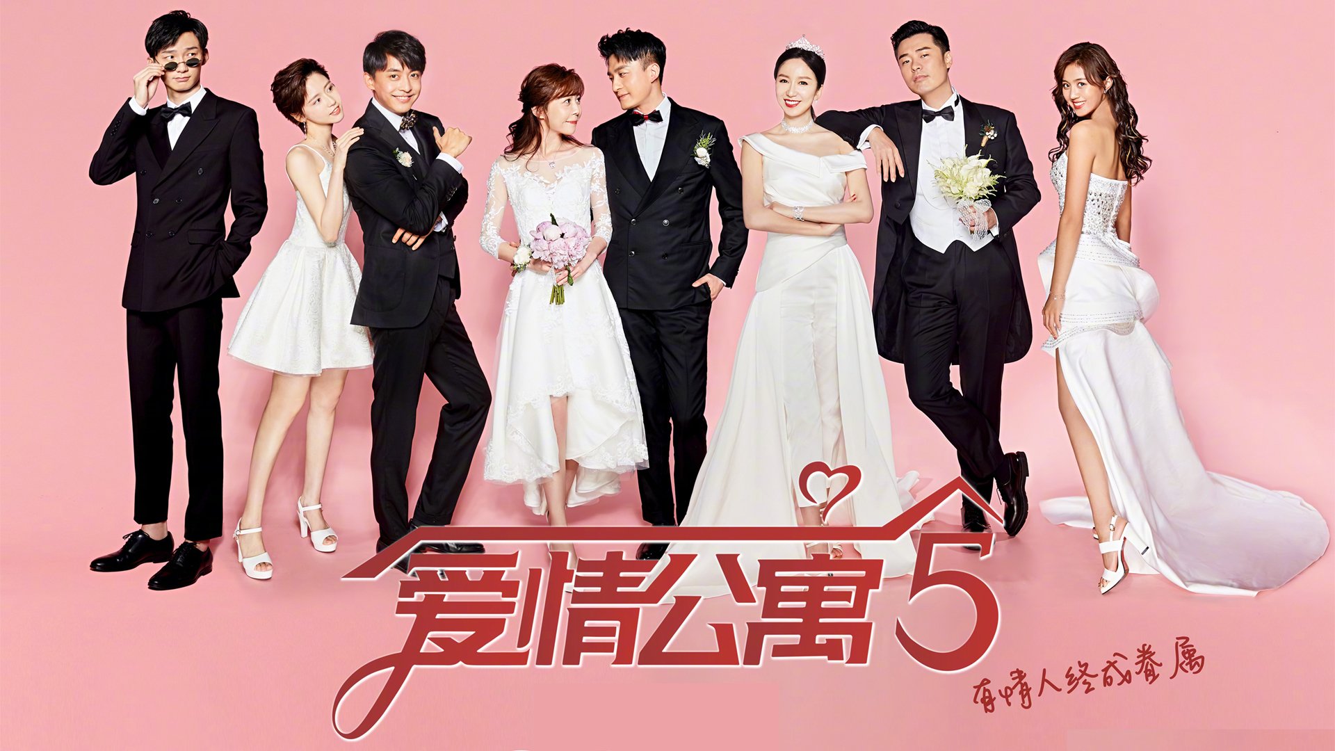 逆反差美学，当鹈鹕沉没灰熊，却托起另一只孤傲的狐狸