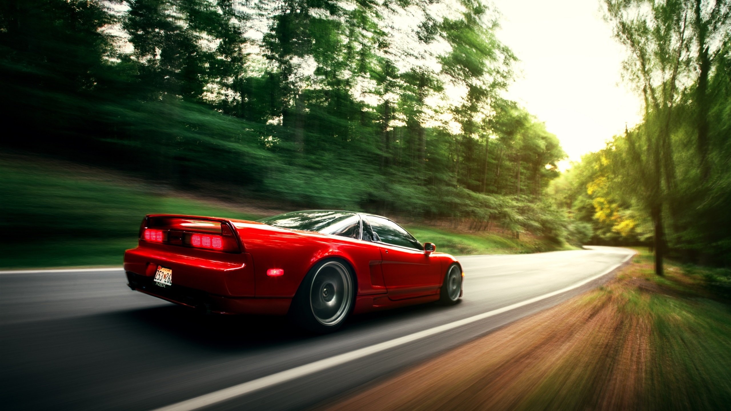 新王加冕！切特末节19分定乾坤，群狼怒吼撕碎灰熊铁阵