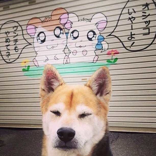 休赛期密谋，恩比德加盟雄鹿一夜，成为逆转开拓者关键先生