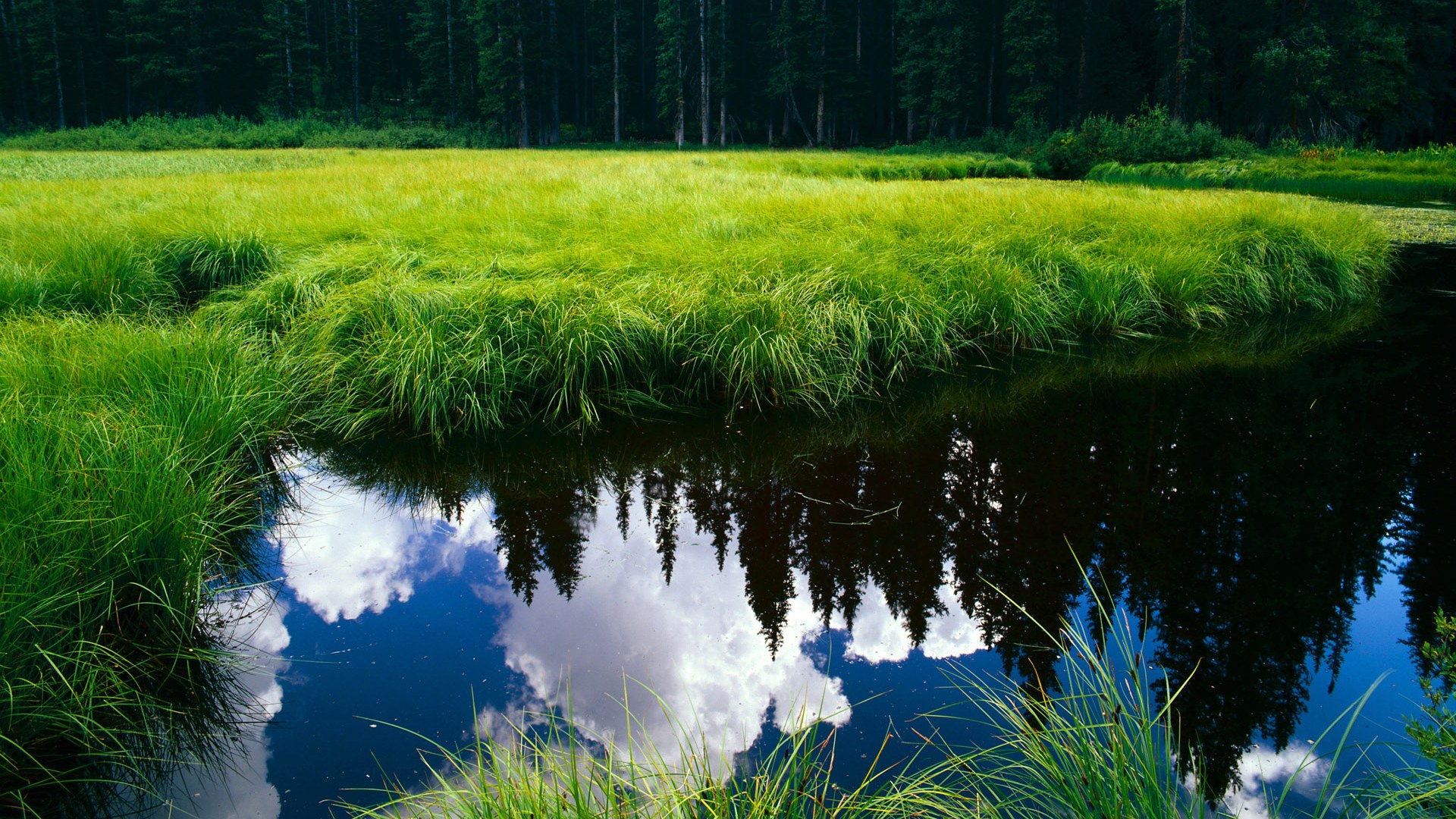 世纪足球之战，金字塔的智慧如何用砂砾体系锁死山姆鹰