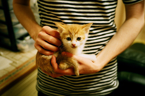 爱游戏入口-击碎爵士！森林狼爆冷大胜，最后的主角却是欧文