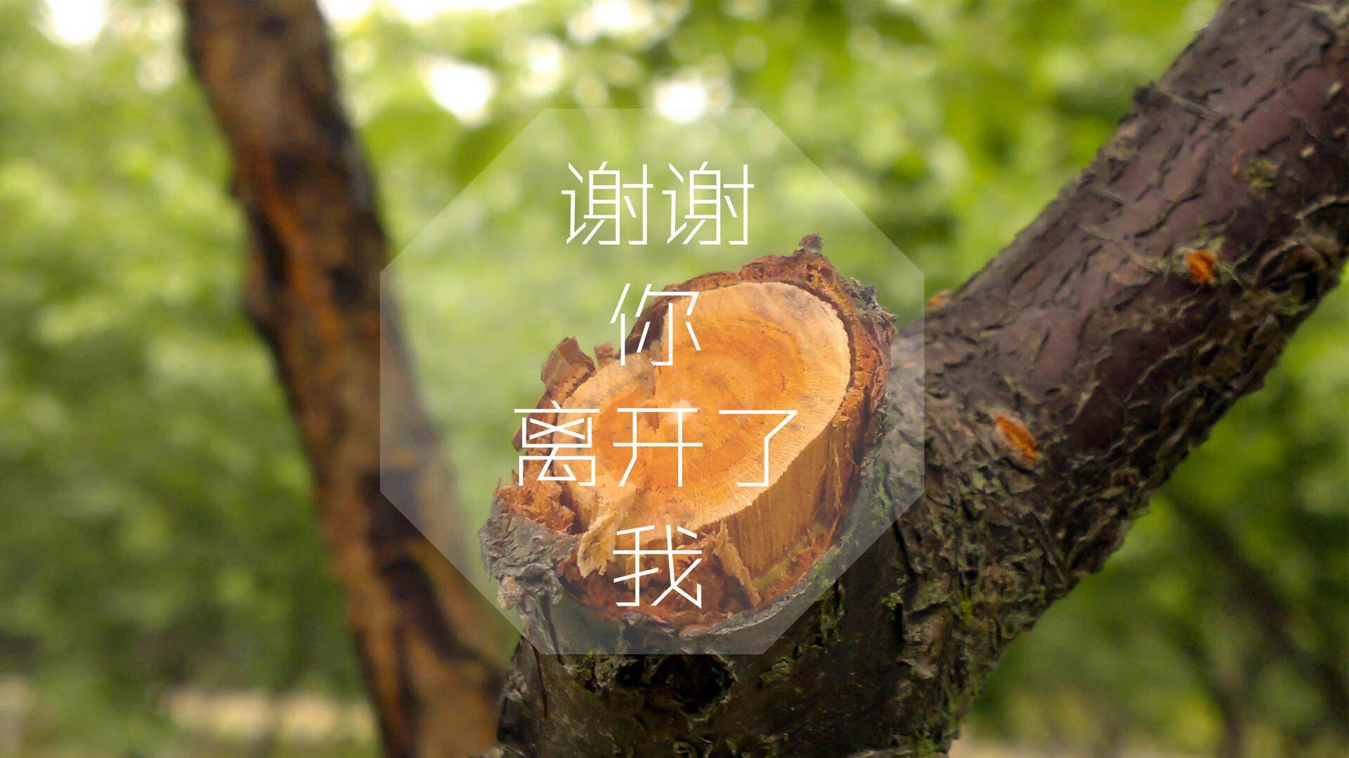 铁骑破晓,斯洛伐克钢铁防线碾碎波斯铁骑,塔雷米的孤独救赎与2026世界杯最惨烈一役