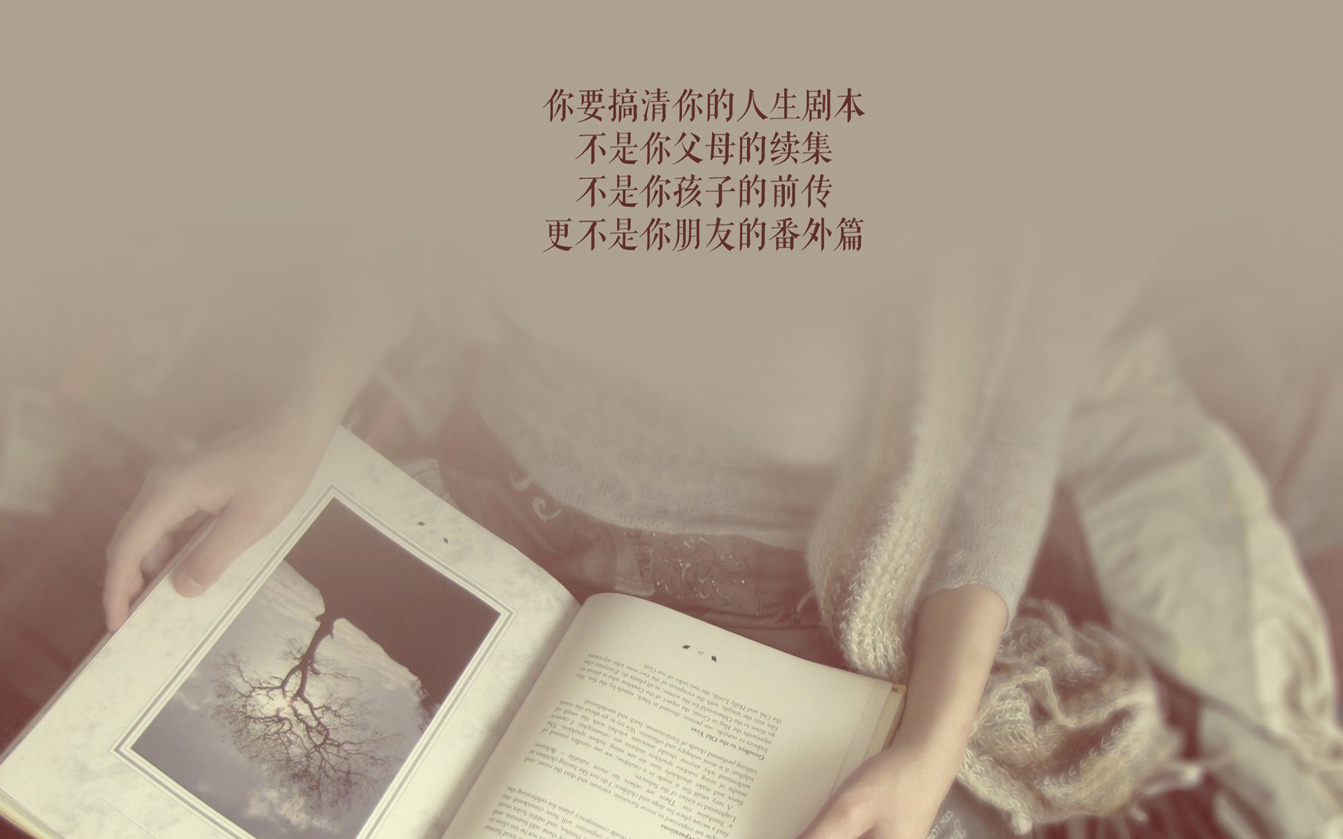 孤星闪耀,2026世界杯E组,波兰如何用一场全面压制重塑足坛秩序